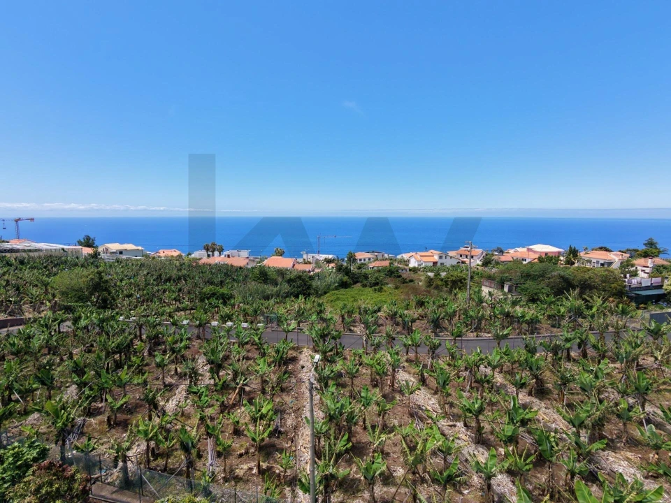 Terreno para Venda em Arco da Calheta Foto 16