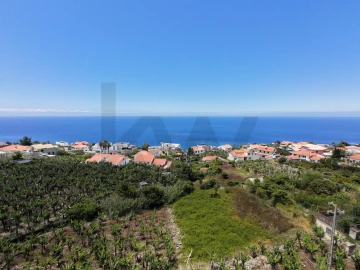 Terreno para Venda em Arco da Calheta