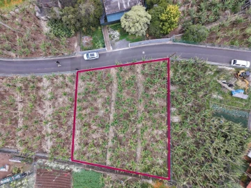 Terreno para Venda em Arco da Calheta