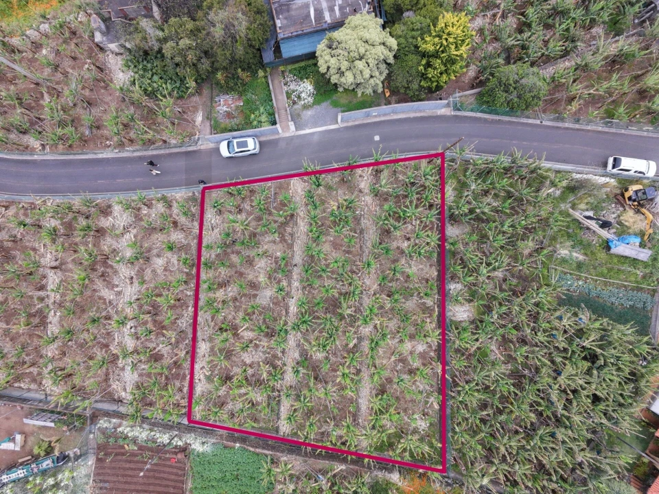Terreno para Venda em Arco da Calheta Foto 3