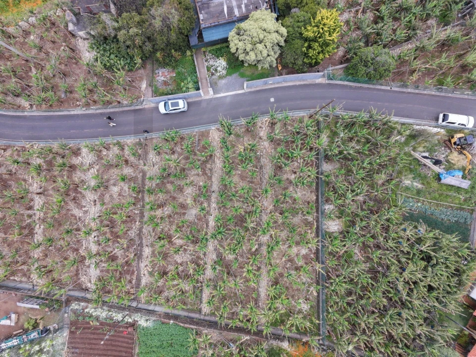 Terreno para Venda em Arco da Calheta Foto 5