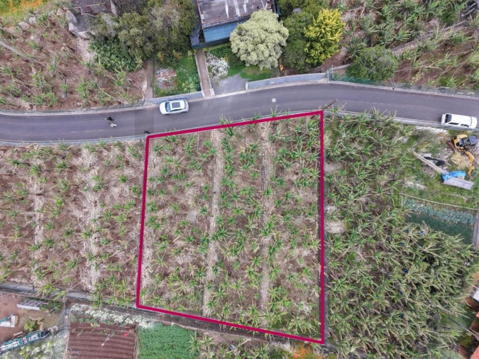 Terreno para Venda em Arco da Calheta Foto 3