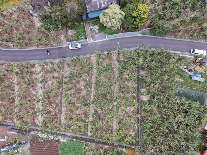Terreno para Venda em Arco da Calheta Foto 5