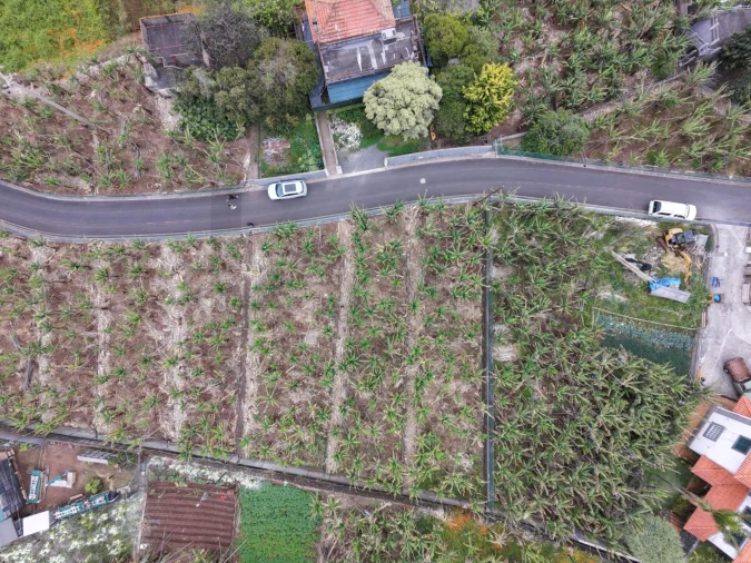 Terreno para Venda em Arco da Calheta Foto 4