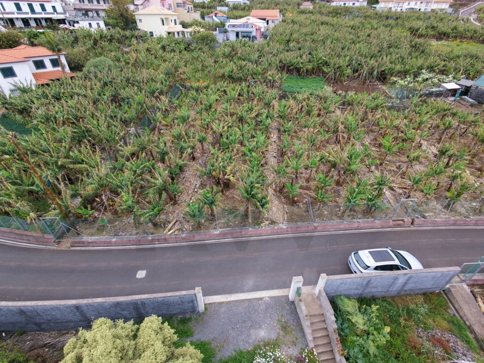 Terreno para Venda em Arco da Calheta Foto 6
