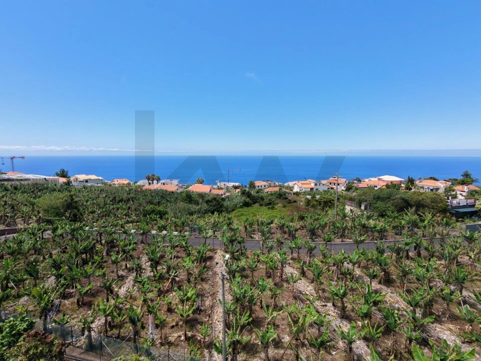 Terreno para Venda em Arco da Calheta Foto 13
