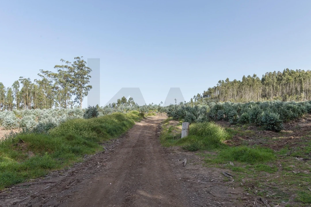 Terreno para Venda em Jardim da Serra Foto 7