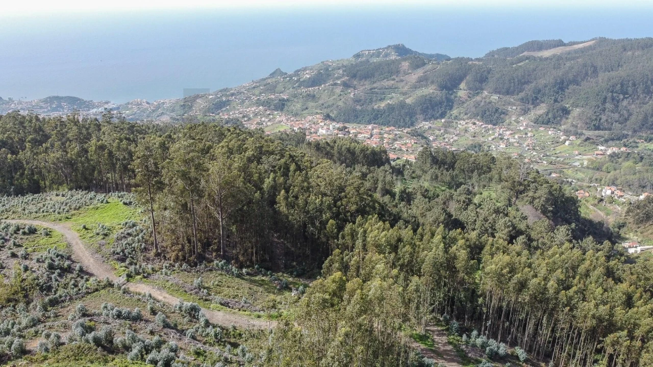 Terreno para Venda em Jardim da Serra Foto 4