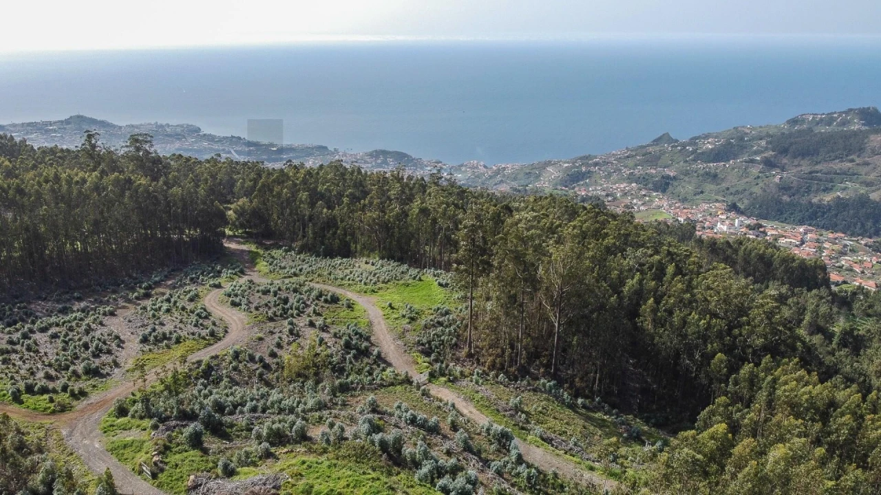 Terreno para Venda em Jardim da Serra Foto 5