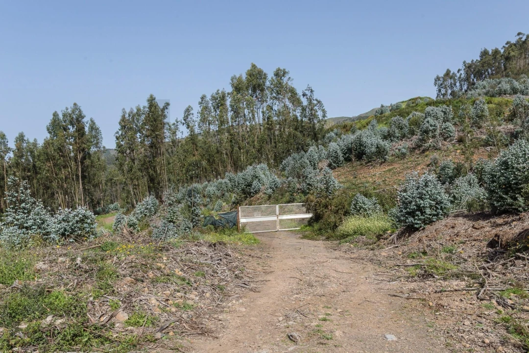 Terreno para Venda em Jardim da Serra Foto 21