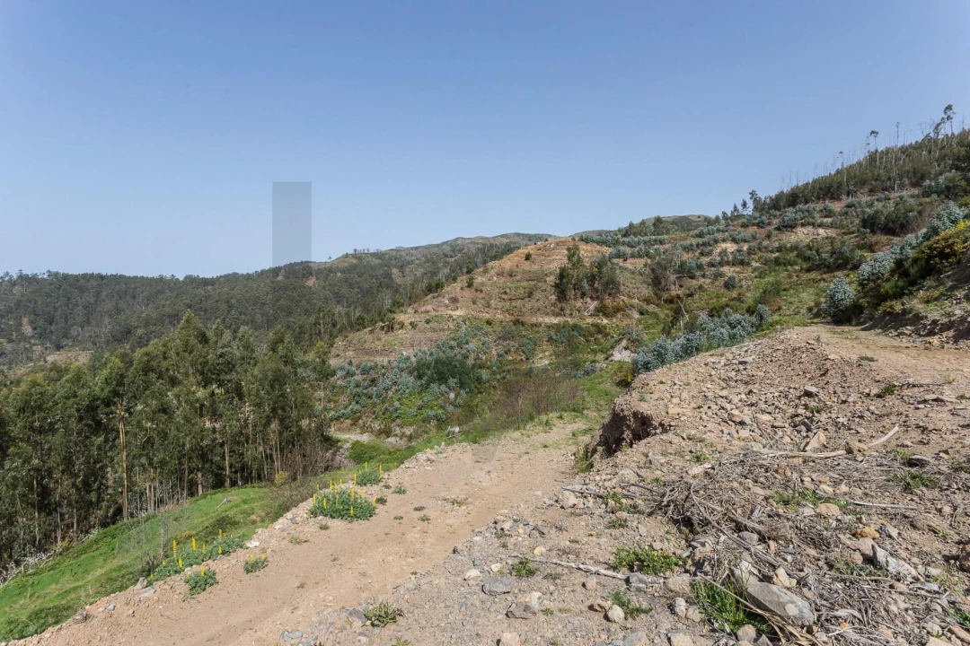 Terreno para Venda em Jardim da Serra Foto 23