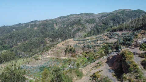 Terreno para Venda em Jardim da Serra