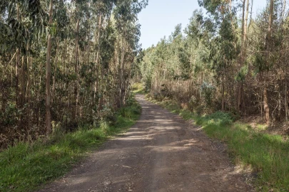 Terreno para Venda em Jardim da Serra
