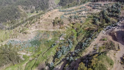 Terreno para Venda em Jardim da Serra