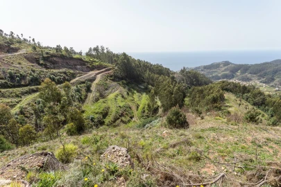 Terreno para Venda em Jardim da Serra