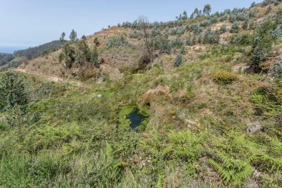 Terreno para Venda em Jardim da Serra
