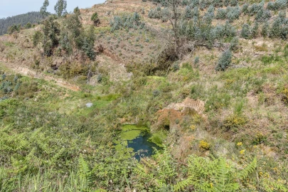 Terreno para Venda em Jardim da Serra