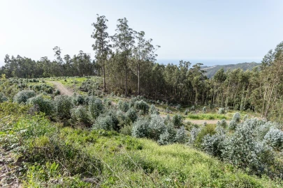 Terreno para Venda em Jardim da Serra