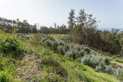 Terreno para Venda em Jardim da Serra