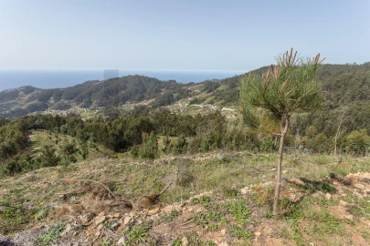 Terreno para Venda em Jardim da Serra