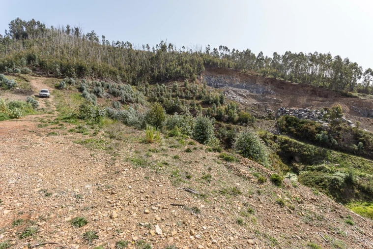Terreno para Venda em Jardim da Serra Foto 26