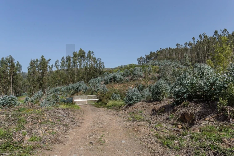 Terreno para Venda em Jardim da Serra Foto 22
