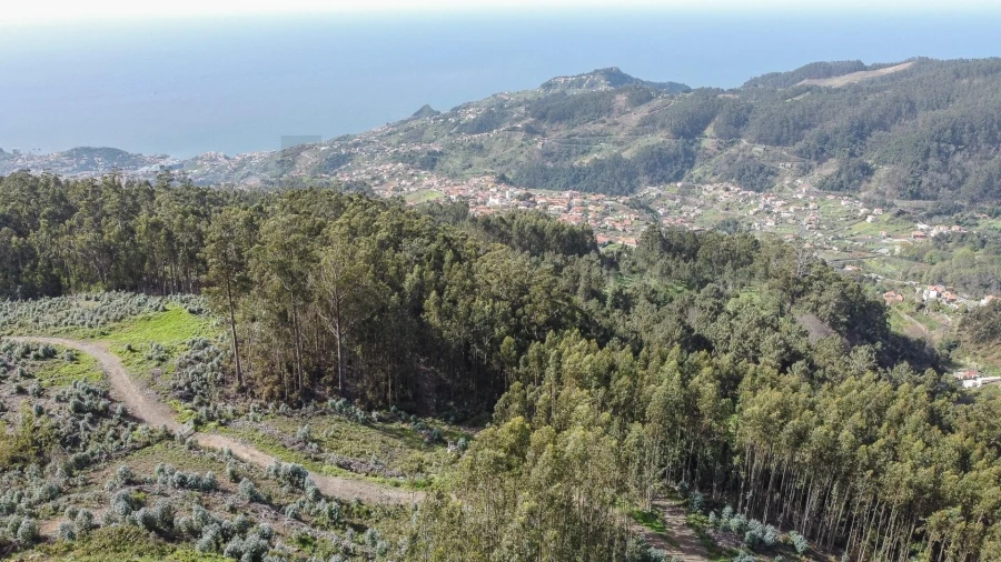 Terreno para Venda em Jardim da Serra Foto 4