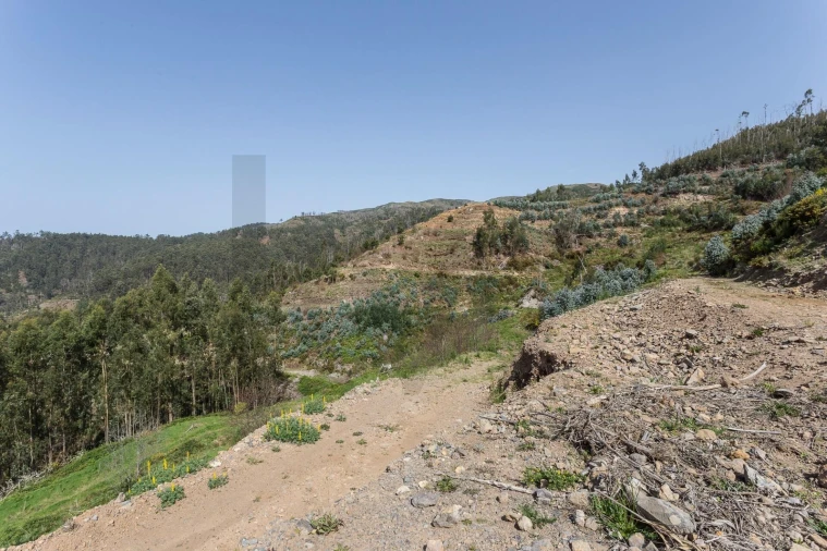 Terreno para Venda em Jardim da Serra Foto 23