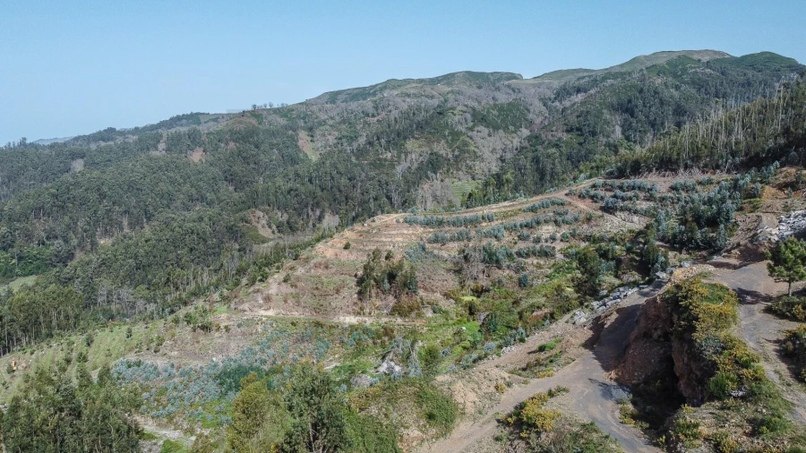 Terreno para Venda em Jardim da Serra Foto 6