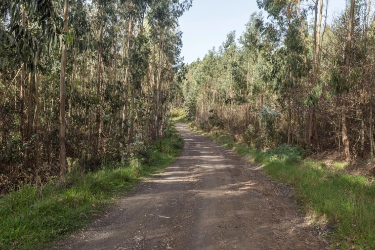 Terreno para Venda em Jardim da Serra
