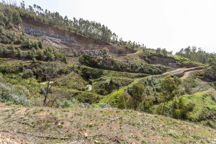 Terreno para Venda em Jardim da Serra Foto 27
