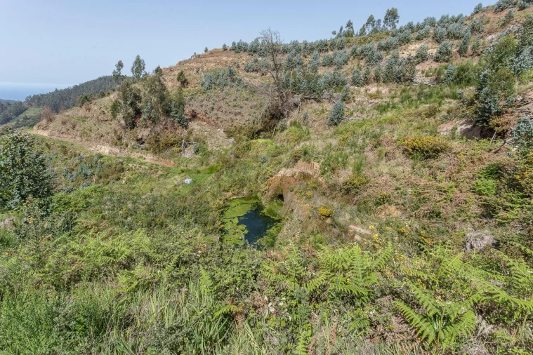 Terreno para Venda em Jardim da Serra Foto 34