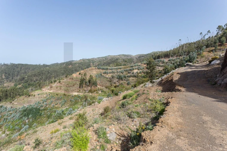 Terreno para Venda em Jardim da Serra Foto 15