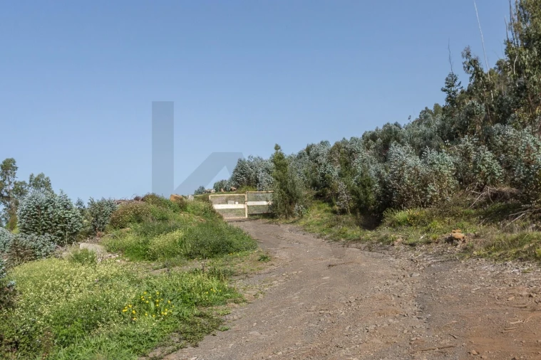 Terreno para Venda em Jardim da Serra Foto 8