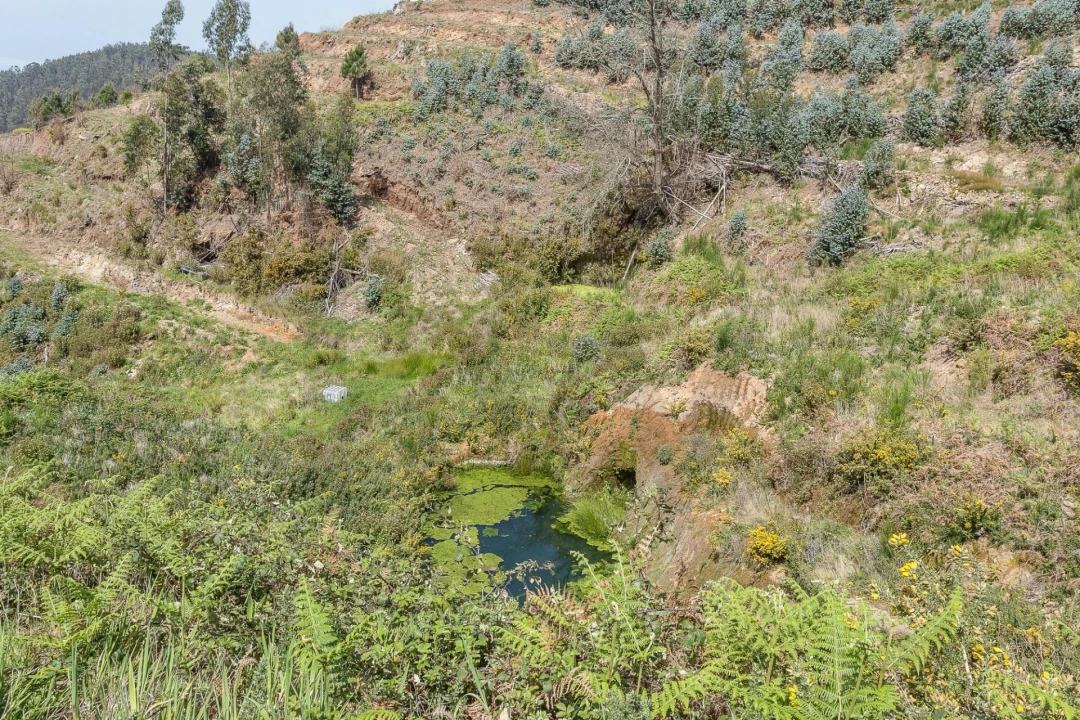 Terreno para Venda em Jardim da Serra Foto 35
