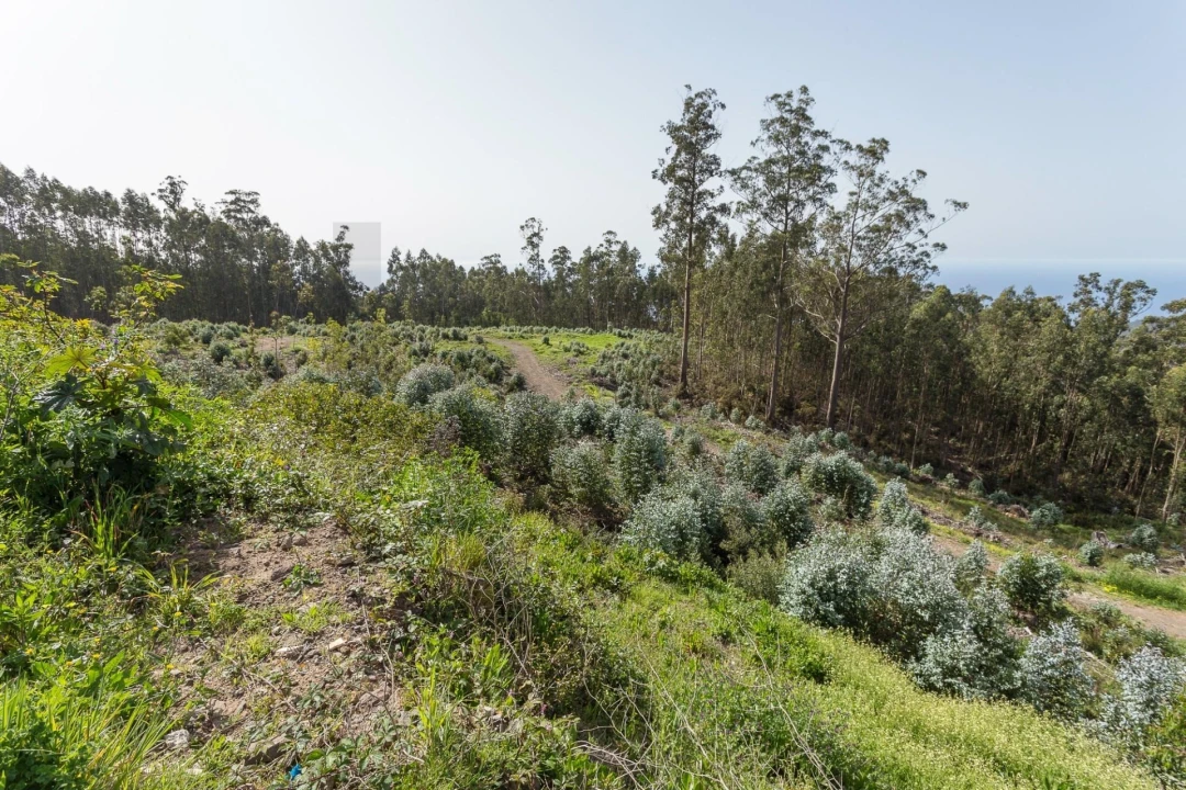 Terreno para Venda em Jardim da Serra Foto 18