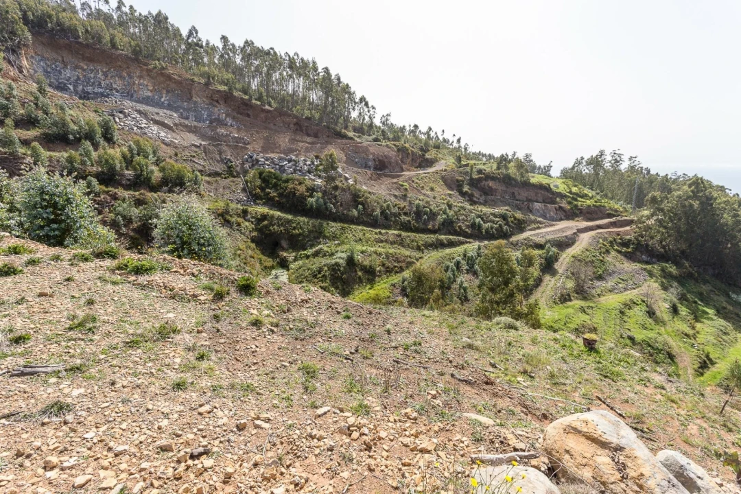 Terreno para Venda em Jardim da Serra Foto 25
