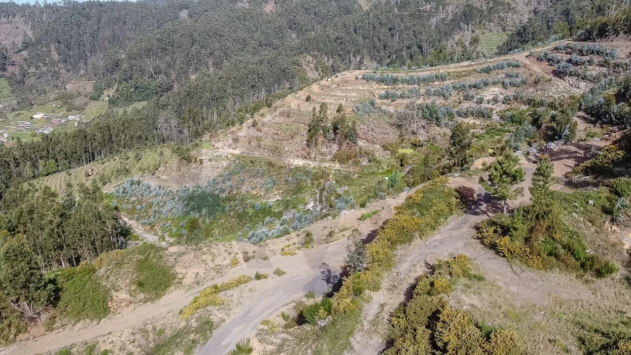 Terreno para Venda em Jardim da Serra Foto 40