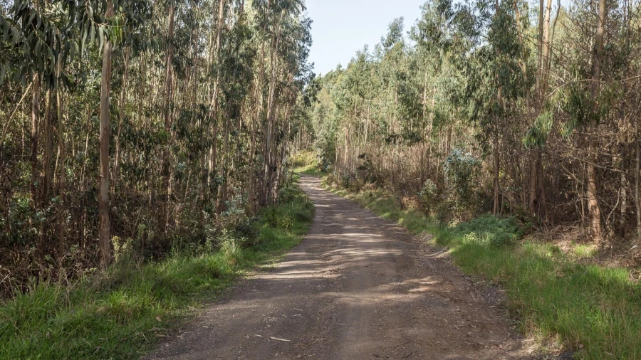 Terreno para Venda em Jardim da Serra