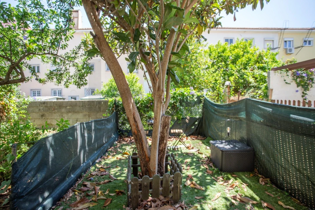Apartamento T2 para Venda em Alvalade Foto 16