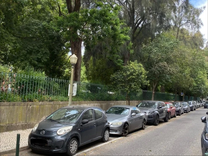 Apartamento T15 para Arrendamento em Campo de Ourique Foto 40