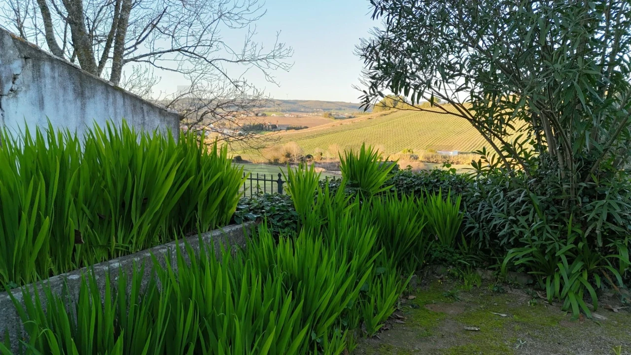 Quinta T6 para Venda em Carvoeira e Carmões Foto 17