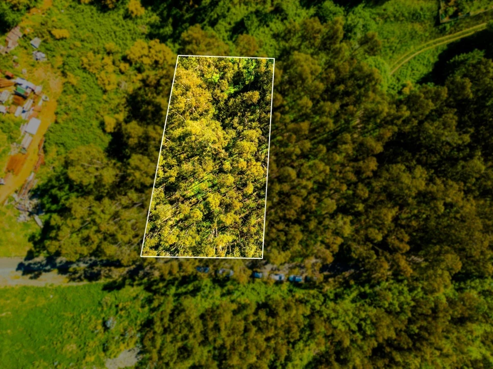 Terreno para Venda em Camacha Foto 2