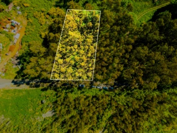 Terreno para Venda em Camacha
