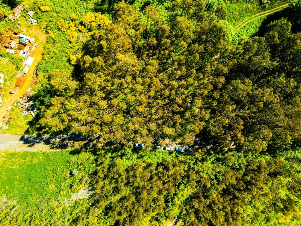 Terreno para Venda em Camacha Foto 10