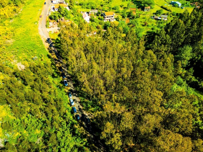 Terreno para Venda em Camacha Foto 9