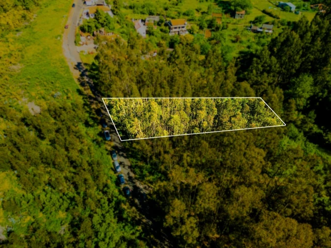 Terreno para Venda em Camacha Foto 4