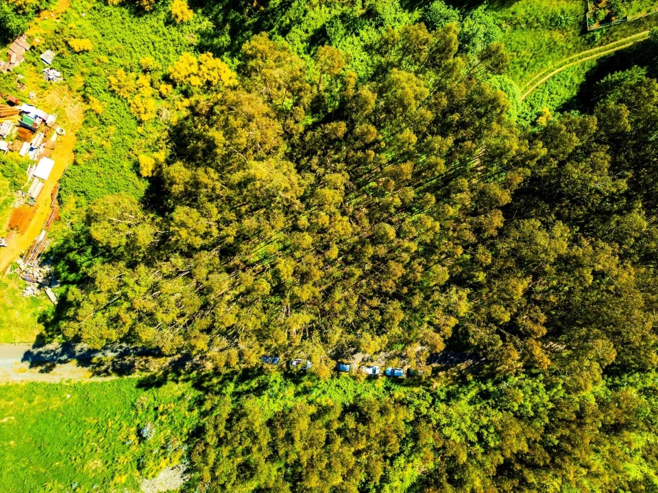 Terreno para Venda em Camacha Foto 11