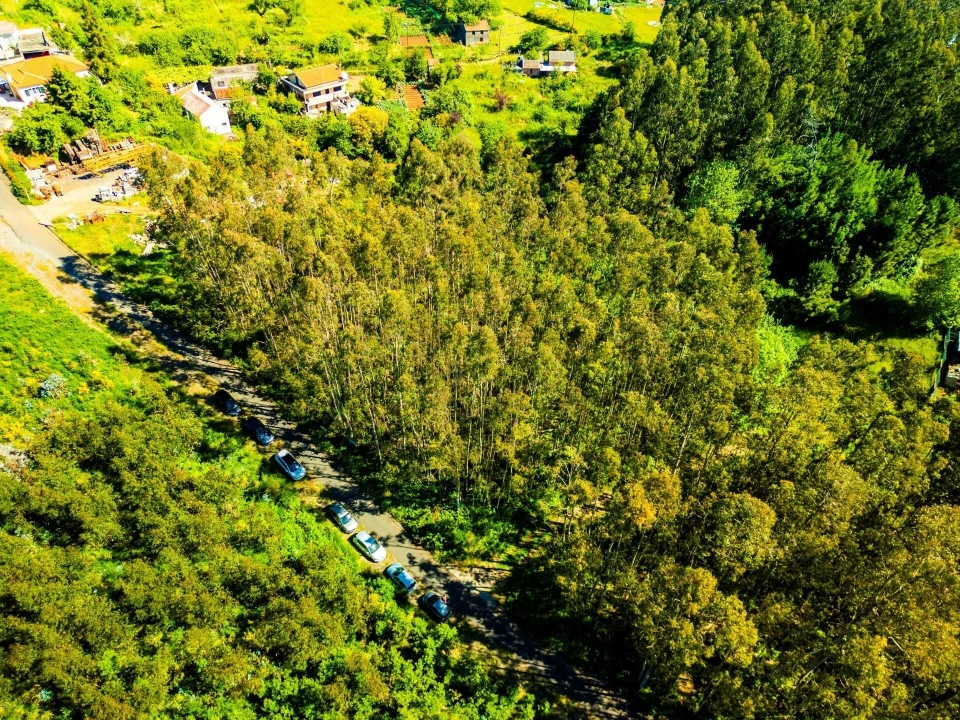 Terreno para Venda em Camacha Foto 8