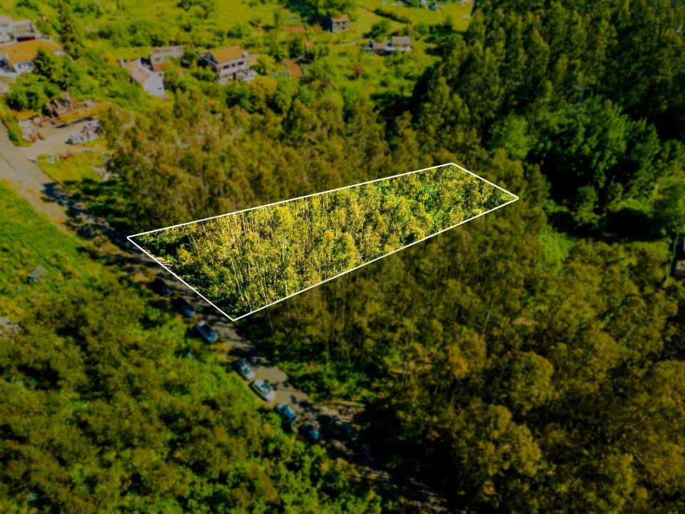 Terreno para Venda em Camacha Foto 3
